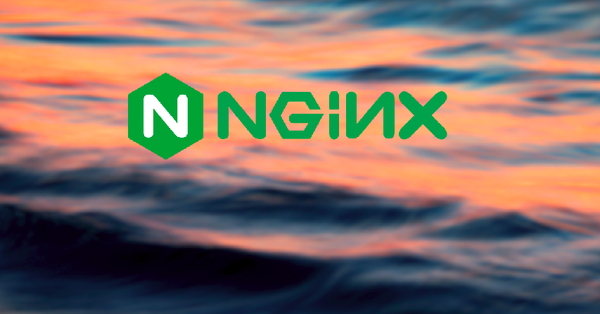 Nginx proxy and Common setup Examples